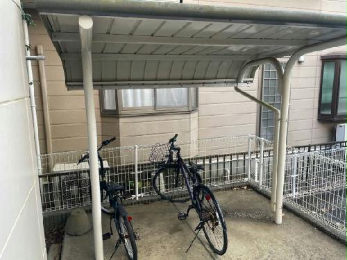 11/17 その他画像