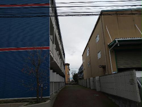 11/20 その他画像