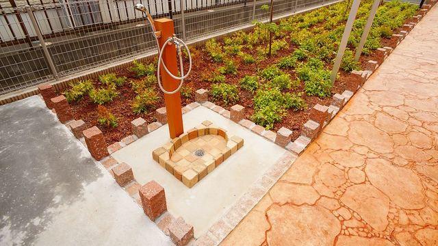 11/20 その他画像