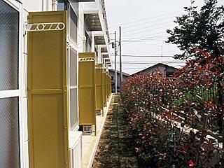 13/16 その他画像