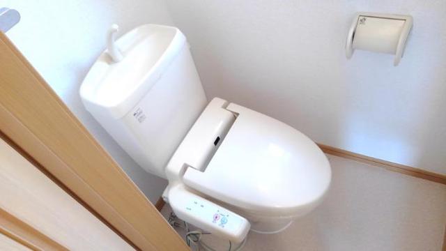 8/16 その他画像