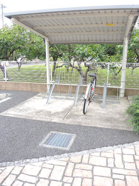 13/20 その他画像