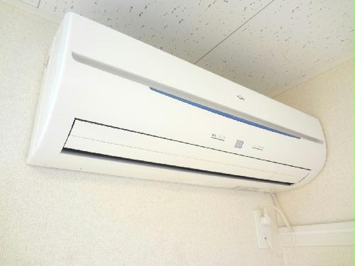 11/11 その他画像