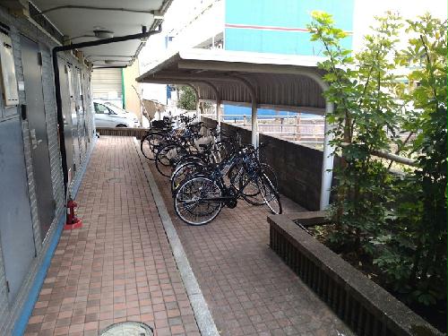 13/17 その他画像