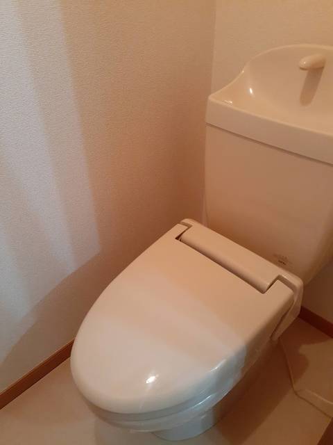 8/19 トイレ