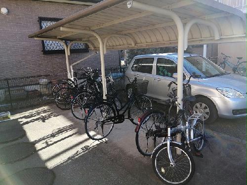 13/14 その他画像