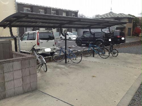 11/24 その他画像