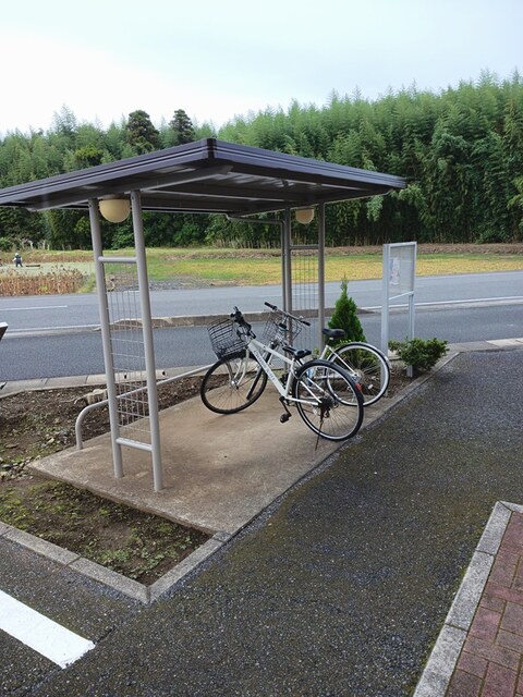 12/20 その他画像