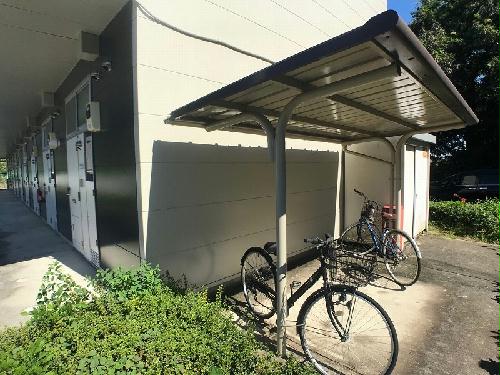 12/19 その他画像