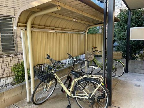 11/17 その他画像