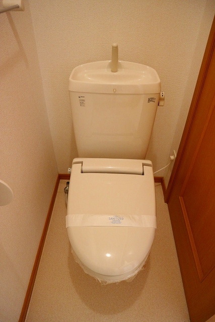 12/30 トイレ