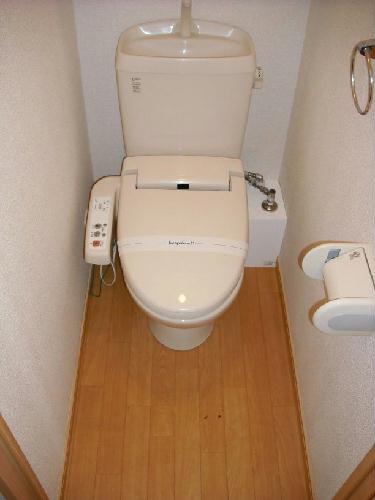 8/13 その他画像