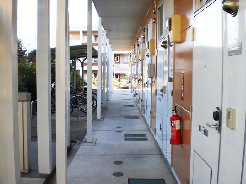 12/17 その他画像