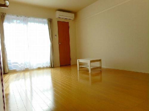 13/13 その他画像