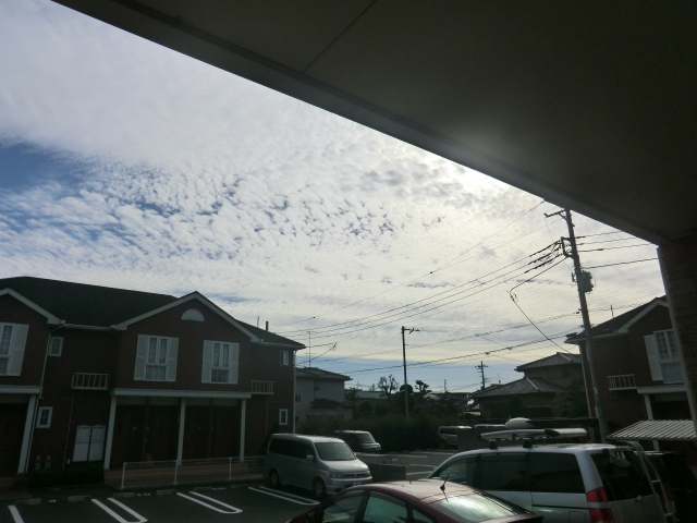 17/28 その他画像