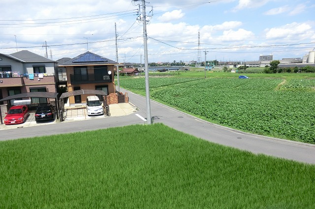 その他画像