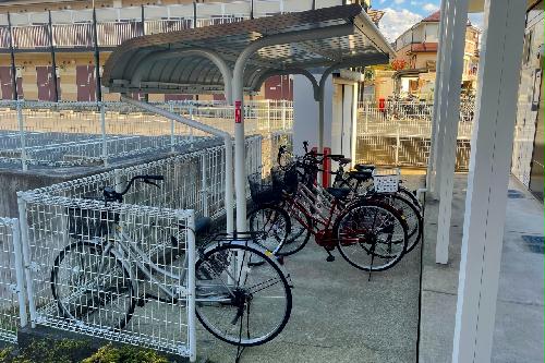 14/14 その他画像