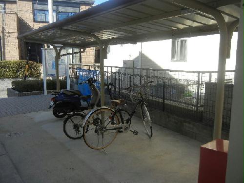 11/13 その他画像