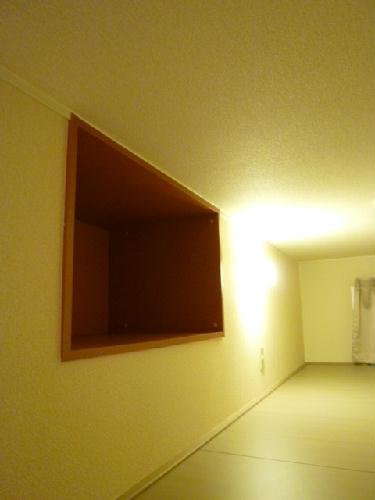 13/19 その他画像