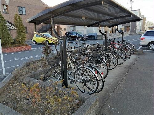 その他画像