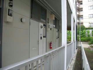 5/16 その他画像