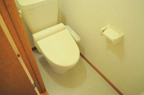 11/21 その他画像