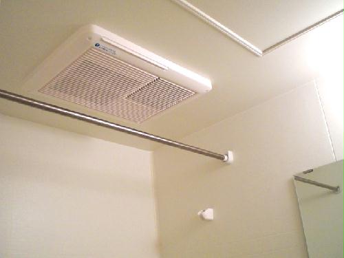 11/19 その他画像