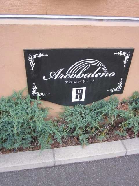 5/15 その他画像