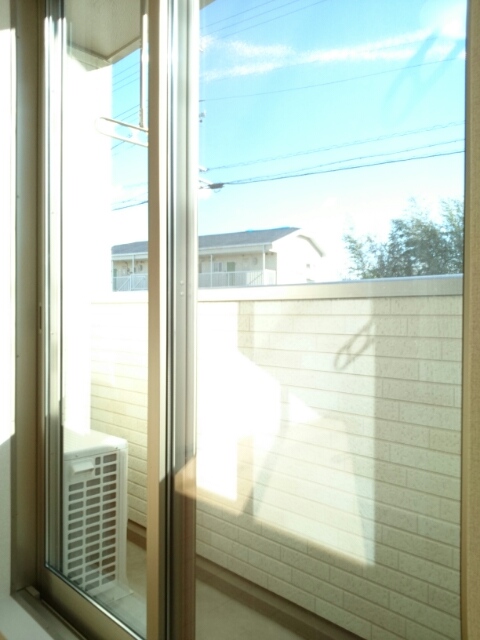 11/24 バルコニー