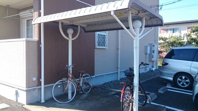 11/20 その他画像