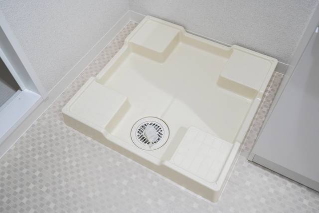 29/29 その他画像