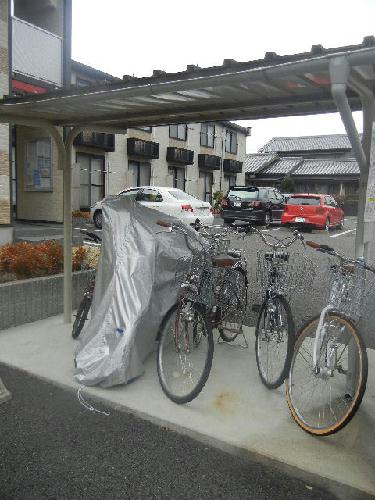 その他画像
