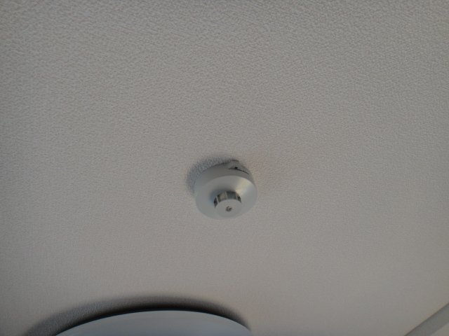 11/26 その他画像