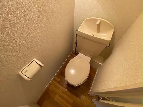 11/14 その他画像