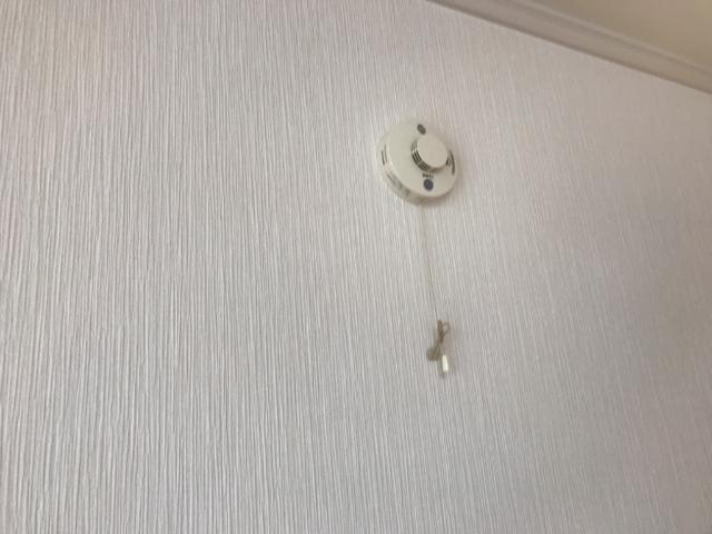 20/29 その他画像