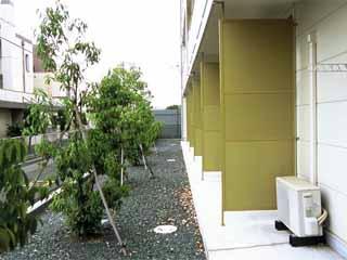 11/12 その他画像