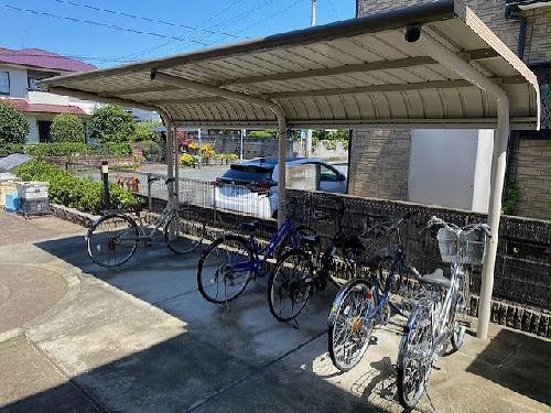 11/14 その他画像