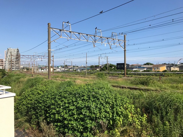 24/28 その他画像