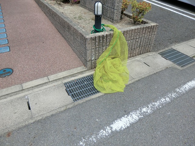 19/28 その他画像