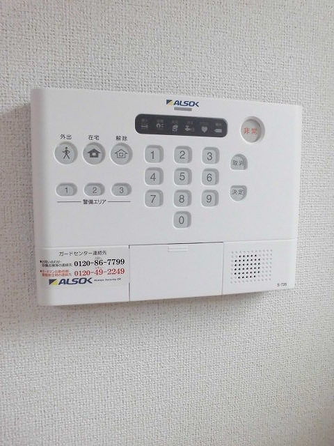 20/30 その他画像