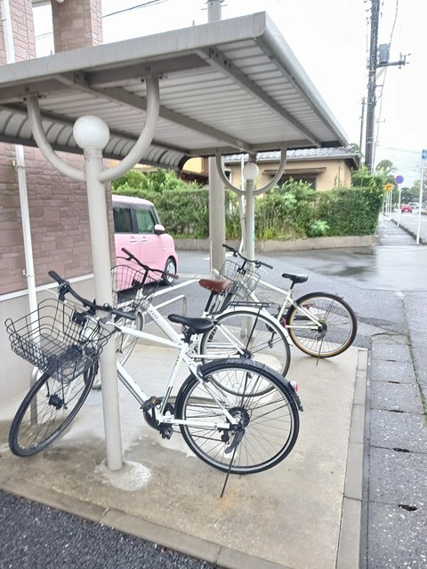 その他画像
