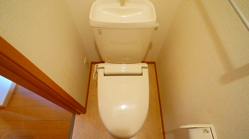11/26 トイレ