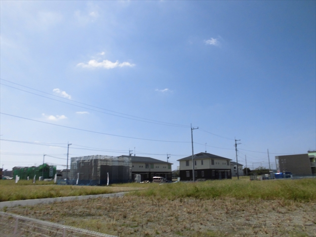 20/30 その他画像