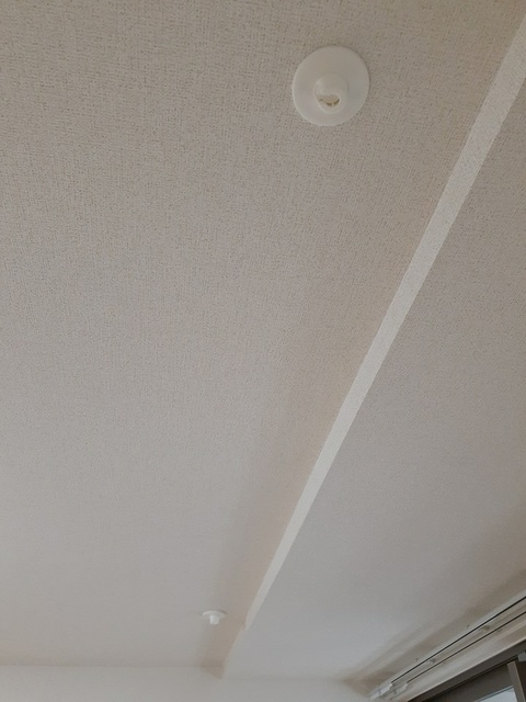 13/22 その他画像