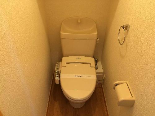 11/13 その他画像