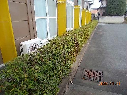 11/22 その他画像