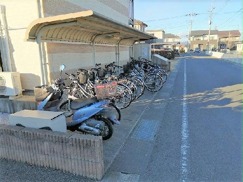 11/14 その他画像