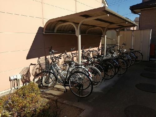 11/14 その他画像