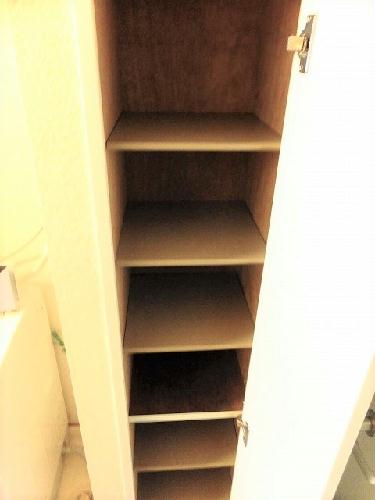 11/14 その他画像