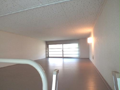 11/14 その他画像